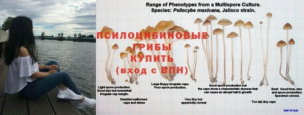 прущая мука Богданович